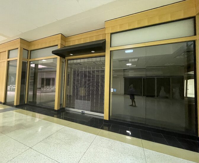 Categorization and Segmentation